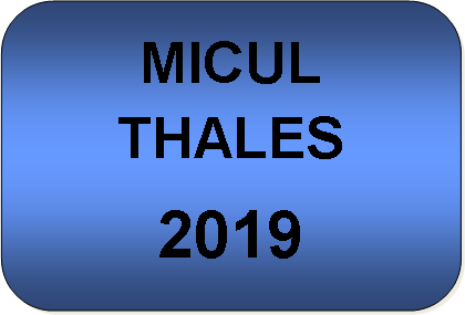 Rounded Rectangle: MICUL THALES 2019