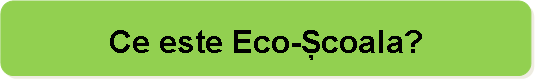 Rounded Rectangle: Ce este Eco-Școala?